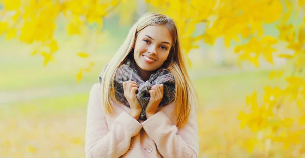Güz Parkında Atkı Takan Güzel Gülümseyen Sarışın Bir Kadının Portresi — Stok fotoğraf
