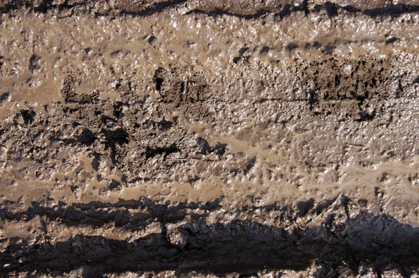 Mud texture or wet brown soil as natural organic clay and geological sediment mixture. Road bog after the rainy season found.