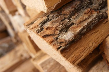 Kesilen ağaç bir yığın halinde yığıldı. Kış için.