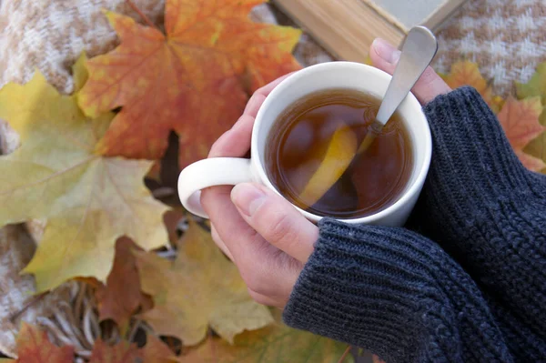 Cup Hot Tea Old Book Autumn Lot Fallen Leaves Mood — Stock Photo, Image