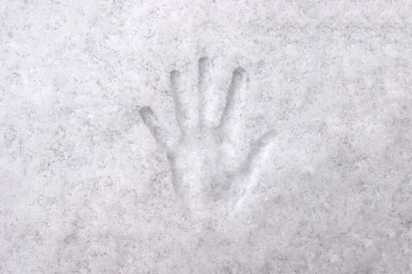 Odcisk Dłoni Palcami Białym Śniegu Tło Tekstura — Zdjęcie stockowe