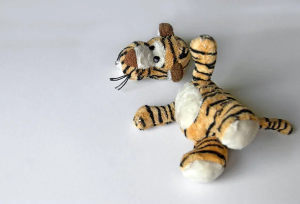 Una Tigre Peluche Con Testa Lacerata Kit Cucito Giocattolo Strappato — Foto Stock