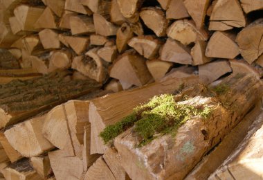 Kesilen ağaç bir yığın halinde yığıldı. Kış için.