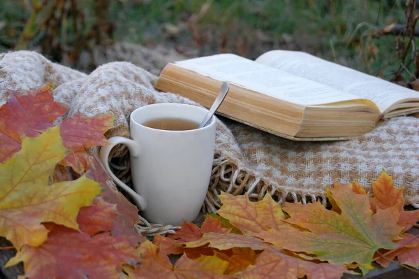 Cup Hot Tea Old Book Autumn Lot Fallen Leaves Mood — Stock Photo, Image