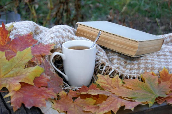Cup Hot Tea Old Book Autumn Lot Fallen Leaves Mood — Stock Photo, Image