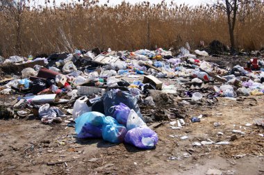 Doğadaki çöpler. Doğadaki yasadışı çöplük. İnsan ve doğa kavramı. Kirli çevre kirliliği. Çöp