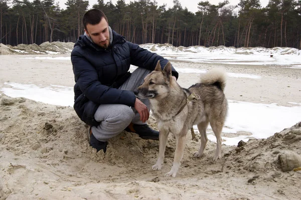 Ein Junger Mann Streichelt Seinen Westsibirischen Husky Freund Beim Gehen — Stockfoto