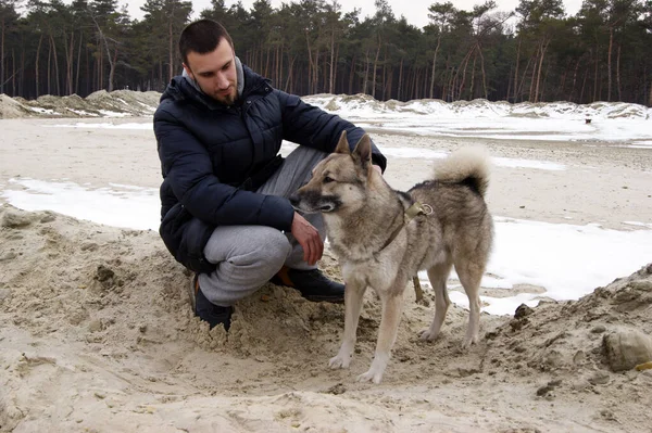 Cara Jovem Acariciando Seu Amigo Husky Sibéria Ocidental Enquanto Caminhava — Fotografia de Stock