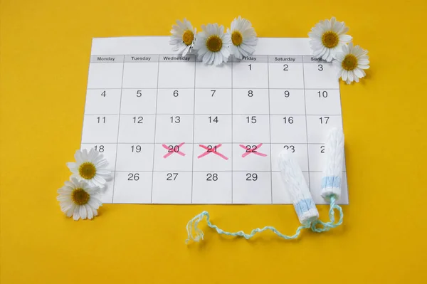 Tampões Menstruais Calendário Período Menstrual Com Camomila Fundo Amarelo Conceito — Fotografia de Stock