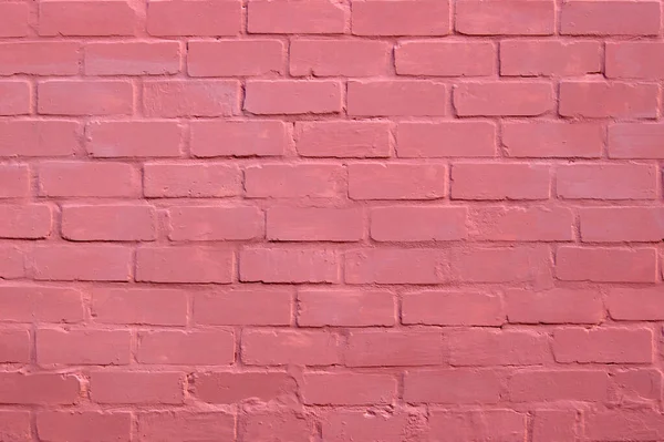 Old Bright Reliable Strong Pink Brick Wall Texture Protective Structure — Stock Photo, Image