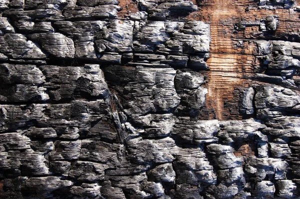 Charred Smoking Wood Log Black Burnt Tree Piece Abstract Background — Stock Photo, Image