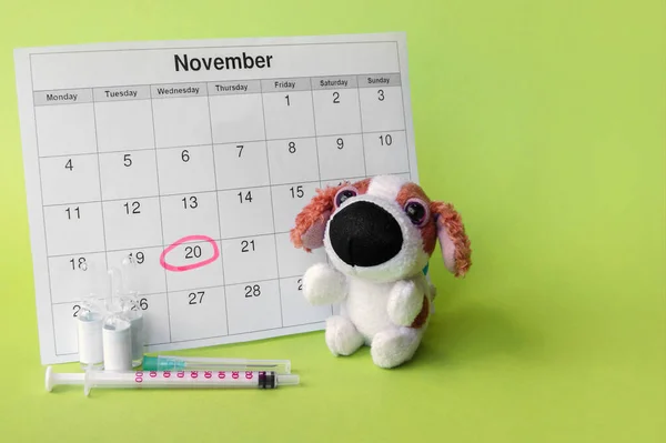 Una Siringa Con Fiale Peluche Cane Calendario Con Una Data — Foto Stock