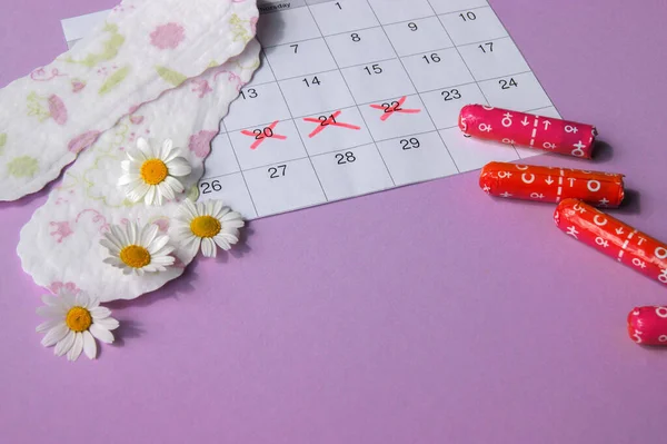Menstrual pads and tampons on menstruation period calendar with chamomiles on pink background. The concept of female health, personal hygiene during critical days.
