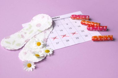 Menstrual pads and tampons on menstruation period calendar with chamomiles on pink background. The concept of female health, personal hygiene during critical days. clipart