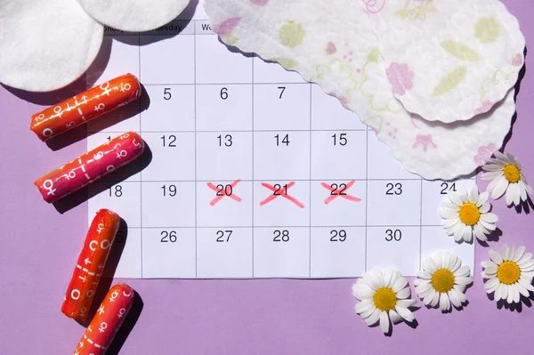 Menstrual pads and tampons on menstruation period calendar with chamomiles on pink background. The concept of female health, personal hygiene during critical days.