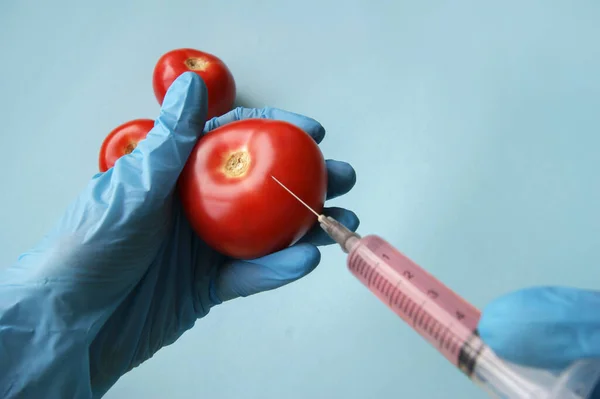 Tomato and syringe with GMO in hands on a blue background. GMO concept with vegetables and fruits.