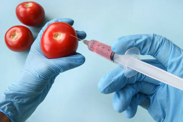 파란색 배경에 Gmo 토마토와 주사기 채소와 과일에 Gmo — 스톡 사진