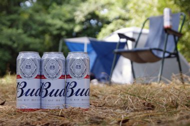 KHARKOV, UKRAINE - 23 Ağustos 2020: birkaç metal kutu Budweiser Bud birası. Budweiser, Amerika Birleşik Devletleri 'nin en popüler bira markalarından biridir..
