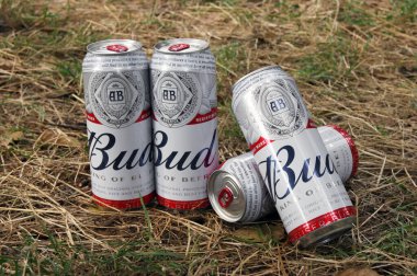 KHARKOV, UKRAINE - 23 Ağustos 2020: birkaç metal kutu Budweiser Bud birası. Budweiser, Amerika Birleşik Devletleri 'nin en popüler bira markalarından biridir..