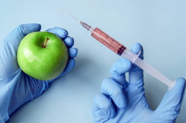 Mavi arka planda GDO 'lu yeşil elma ve şırınga. Sebze ve meyvelerle GDO kavramı.