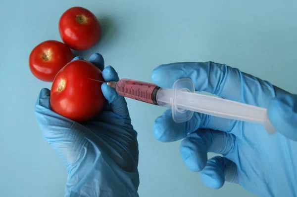 파란색 배경에 Gmo 토마토와 주사기 채소와 과일에 Gmo — 스톡 사진