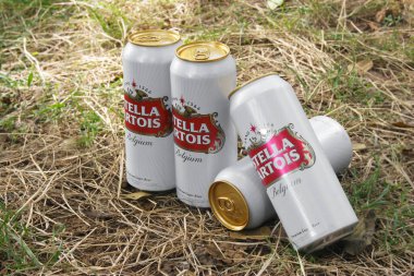 KHARKOV, UKRAINE - 23 Ağustos 2020: birkaç metal kutu Stella Artois birası. Stella Artois dünyanın en ünlü Belçika birasıdır..