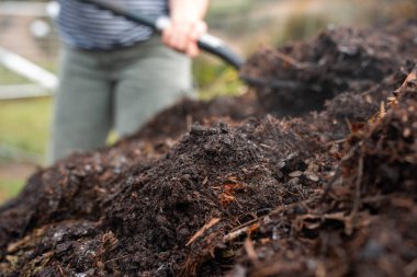 Avustralya 'da gübre yığınları, Tazmanya Avustralya' da dönen organik termofilik gübre. 