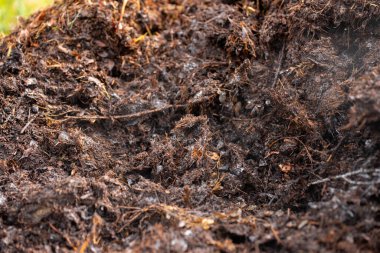 Avustralya 'da gübre yığınları, Tazmanya Avustralya' da dönen organik termofilik gübre. 