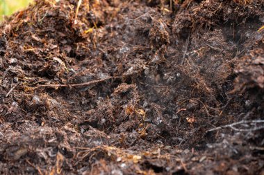 Avustralya 'da gübre yığınları, Tazmanya Avustralya' da dönen organik termofilik gübre. 