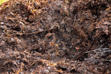 Avustralya 'da gübre yığınları, Tazmanya Avustralya' da dönen organik termofilik gübre. 