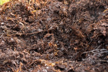 Avustralya 'da gübre yığınları, Tazmanya Avustralya' da dönen organik termofilik gübre. 