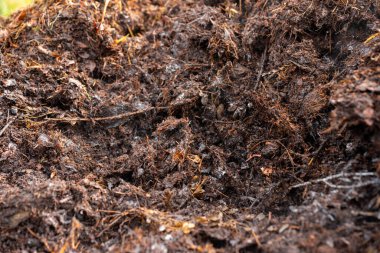 Avustralya 'da gübre yığınları, Tazmanya Avustralya' da dönen organik termofilik gübre. 