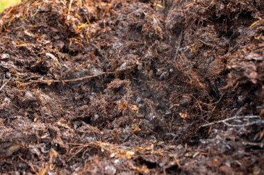 Avustralya 'da gübre yığınları, Tazmanya Avustralya' da dönen organik termofilik gübre. 