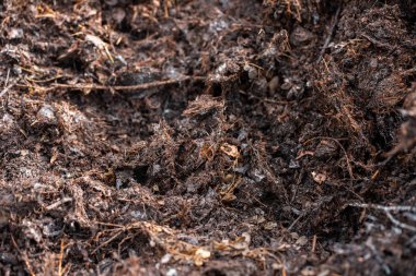 Avustralya 'da gübre yığınları, Tazmanya Avustralya' da dönen organik termofilik gübre. 