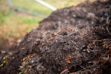 Avustralya 'da gübre yığınları, Tazmanya Avustralya' da dönen organik termofilik gübre. 