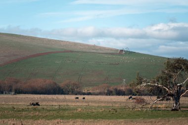 Nehirden gelen suyla tarla sulama alanında sebze yetiştirilen bir tepe çiftliğinde döner sulama. Avustralya 'da bir çiftlikte fıskiyeler sulayıp yiyecek üretiyorlar. 