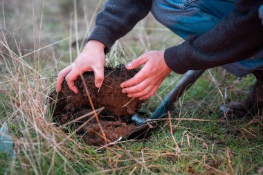 Çiftçilikte tarımcılık yapan taşralı bir tarımcı. Toprak işleme pratiği yapıyor. Ev laboratuarında toprak testleri yapıyor. Toprak hayatına, sağlığa ve parmaklardaki gübreye bakıyorum.