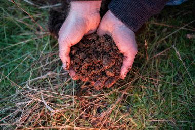 Çiftçilikte tarımcılık yapan taşralı bir tarımcı. Toprak işleme pratiği yapıyor. Ev laboratuarında toprak testleri yapıyor. Toprak hayatına, sağlığa ve parmaklardaki gübreye bakıyorum.