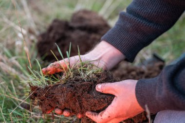 Çiftçi tarladaki bir test tüpünden toprak örnekleri topluyor. Agronomist toprak karbonu kontrol ediyor 