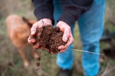 Yenileyici organik çiftçi, toprak örnekleri alıyor ve bir çiftlikteki bitkilere bakıyor. Sürdürülebilir tarım iyi bir çiftçi