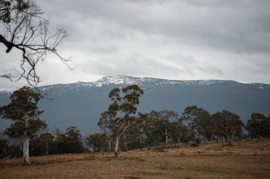 Çiftçilikte tarımcılık yapan taşralı bir tarımcı. Toprak işleme pratiği yapıyor. Ev laboratuarında toprak testleri yapıyor. Toprak hayatına, sağlığa ve parmaklardaki gübreye bakıyorum.