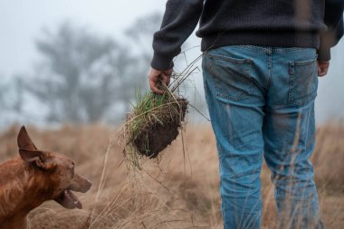 Çiftçi tarladaki bir test tüpünden toprak örnekleri topluyor. Çiftlikteki toprak karbon ve bitki sağlığını kontrol eden tarımcı.