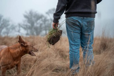 Çiftçi tarladaki bir test tüpünden toprak örnekleri topluyor. Agronomist toprak karbonu kontrol ediyor 