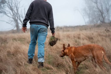 Çiftçilikte tarımcılık yapan taşralı bir tarımcı. Toprak işleme pratiği yapıyor. Ev laboratuarında toprak testleri yapıyor. Toprak hayatına, sağlığa ve parmaklardaki gübreye bakıyorum.