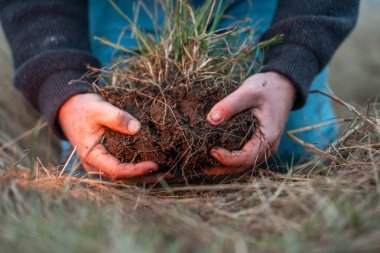 Yenileyici organik çiftçi, toprak örnekleri alıyor ve bir çiftlikteki bitkilere bakıyor. Sürdürülebilir tarım iyi bir çiftçi
