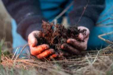 Çiftçi tarladaki bir test tüpünden toprak örnekleri topluyor. Çiftlikteki toprak karbon ve bitki sağlığını kontrol eden tarımcı.