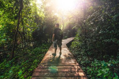 Güneş doğarken ormanda duran sırt çantasının soyut görüntüsü.