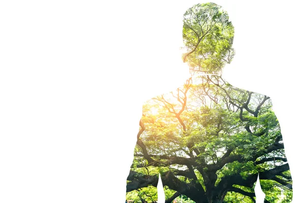 Gün doğumunda bir sandalyede ormanın görüntüsü ve beyaz fotokopi uzayı ile rahatlayan iş adamı. Doğa, özgürlük, çevre ve iş kavramı.