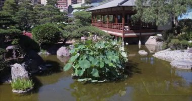 Monte Carlo, Monako - 7 Temmuz 2020: Monako Prensliği 'ndeki Japon bahçesindeki gölet.