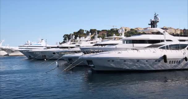 Monte Carlo Monaco Juli 2020 Luksus Lystbåde Marinaen Fyrstendømmet Monaco – Stock-video